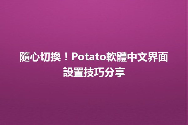 🔄 隨心切換！Potato軟體中文界面設置技巧分享