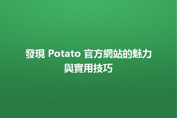 🍟 發現 Potato 官方網站的魅力與實用技巧 🌐