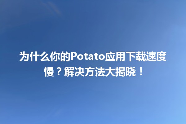 🥔 为什么你的Potato应用下载速度慢？解决方法大揭晓！