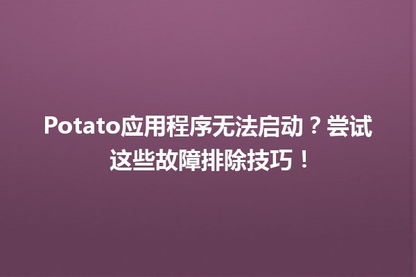 🥔 Potato应用程序无法启动？尝试这些故障排除技巧！