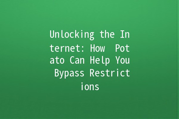 Unlocking the Internet: How 🥔 Potato Can Help You Bypass Restrictions