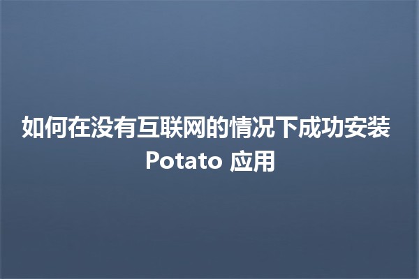 🚀 如何在没有互联网的情况下成功安装 Potato 应用