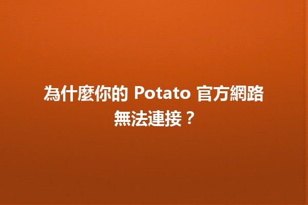 為什麼你的 Potato 官方網路無法連接？🛠️🔌