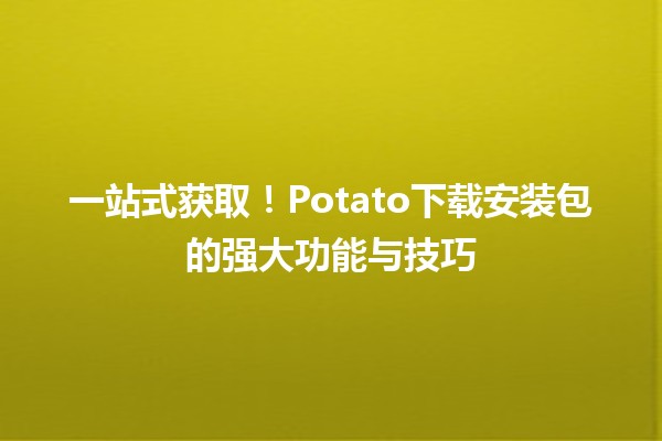 一站式获取！🌟Potato下载安装包的强大功能与技巧