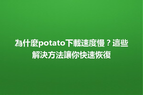 為什麼potato下載速度慢？這些解決方法讓你快速恢復🏎️💨