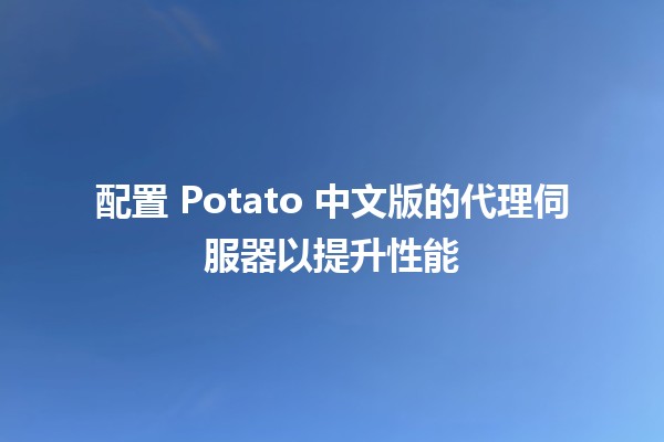 配置 Potato 中文版的代理伺服器以提升性能 🚀🌐