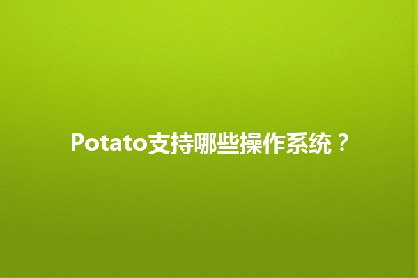 Potato支持哪些操作系统？🌐🖥️