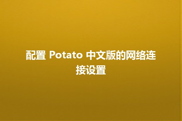 配置 Potato 中文版的网络连接设置🔧✨