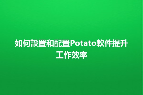 如何設置和配置Potato軟件提升工作效率 🚀🛠️