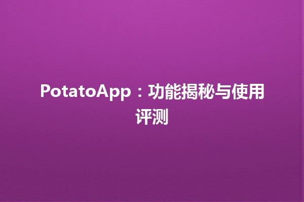 🍽️ PotatoApp：功能揭秘与使用评测🔍