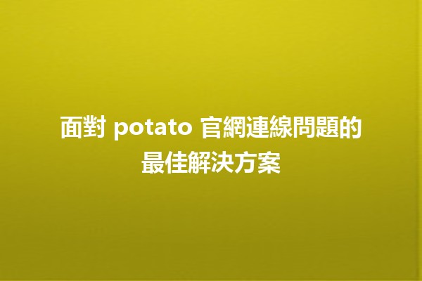 面對 potato 官網連線問題的最佳解決方案 🥔💻