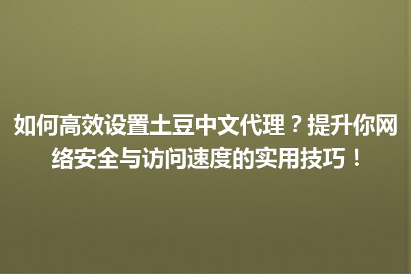 🍟 如何高效设置土豆中文代理？提升你网络安全与访问速度的实用技巧！