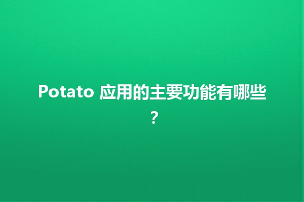 Potato 应用的主要功能有哪些？🥔✨