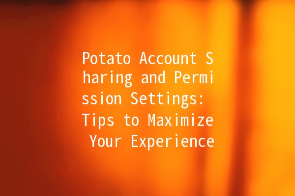 Potato Account Sharing and Permission Settings: Tips to Maximize Your Experience 🥔✨