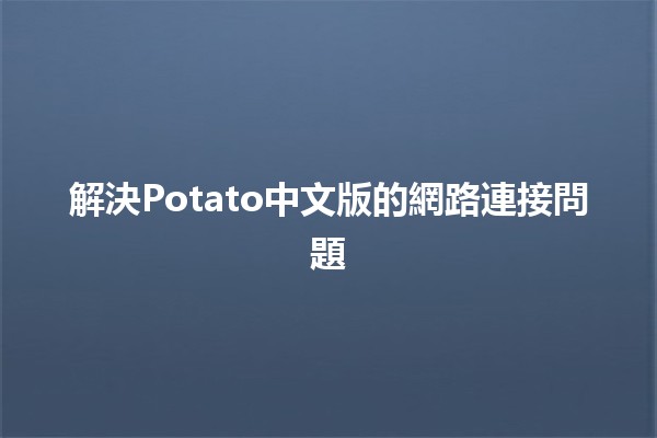 解決Potato中文版的網路連接問題🖥️🔧