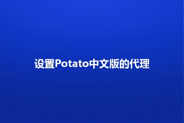 设置Potato中文版的代理 🌐🍟